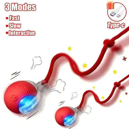 S856467617e434137bcaa0921321255ec8
